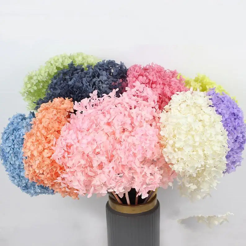 wholesale real touch hydrangea bouquet flower heads hortensias bush purple dried preserved hydrangea