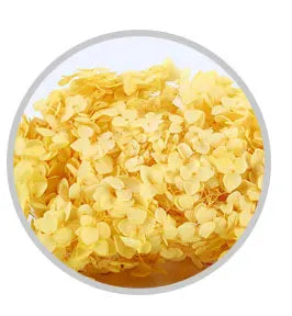 high quality new year christmas decoration preserved natural hydrangea flowers