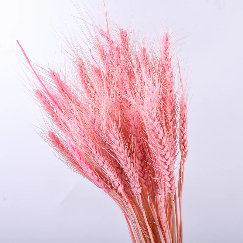 Wedding Centerpieces Decorative Natural Dry Wheat Bunches Grass Stalks Decor Sheaves Dried Wheat Flowers