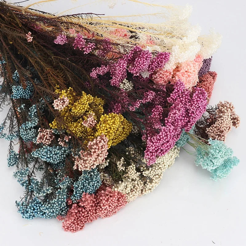 White Preserved Rice Dried Flowers for Wedding Ceremony Decoration Factory Wholesale Dry Natural Decorative Flowers & Wreaths