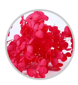high quality new year christmas decoration preserved natural hydrangea flowers