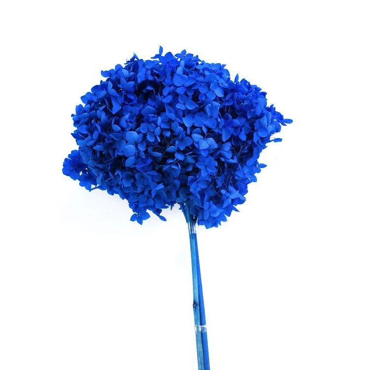wholesale real touch hydrangea bouquet flower heads hortensias bush purple dried preserved hydrangea