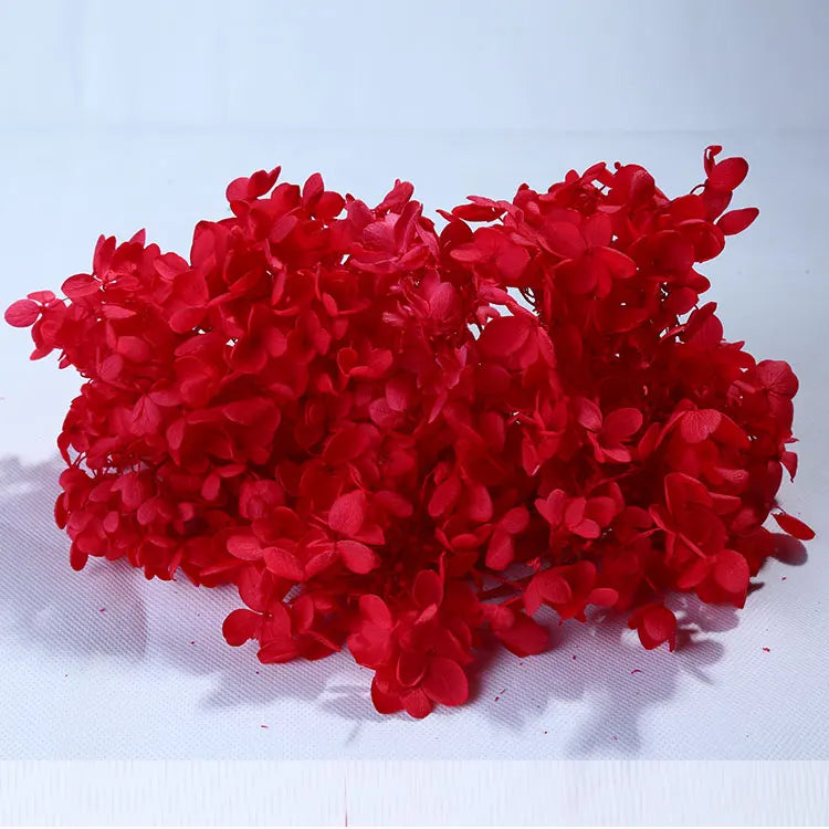 high quality new year christmas decoration preserved natural hydrangea flowers