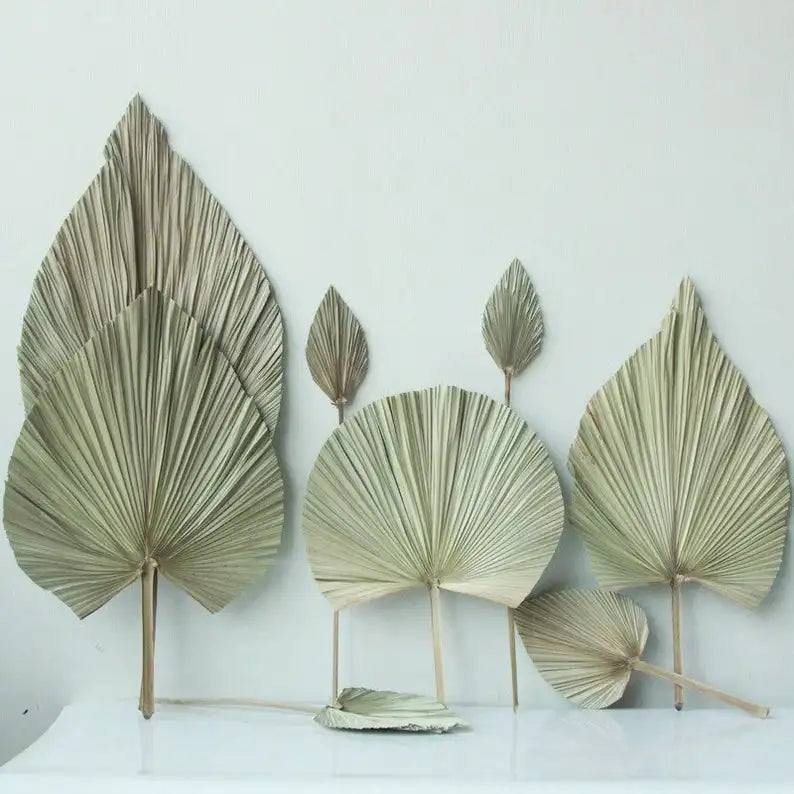 Wholesale Hot Sale Real Natural Vilot Purple Processed Dried Palm Leaves Fan For Wedding Flower Arranging