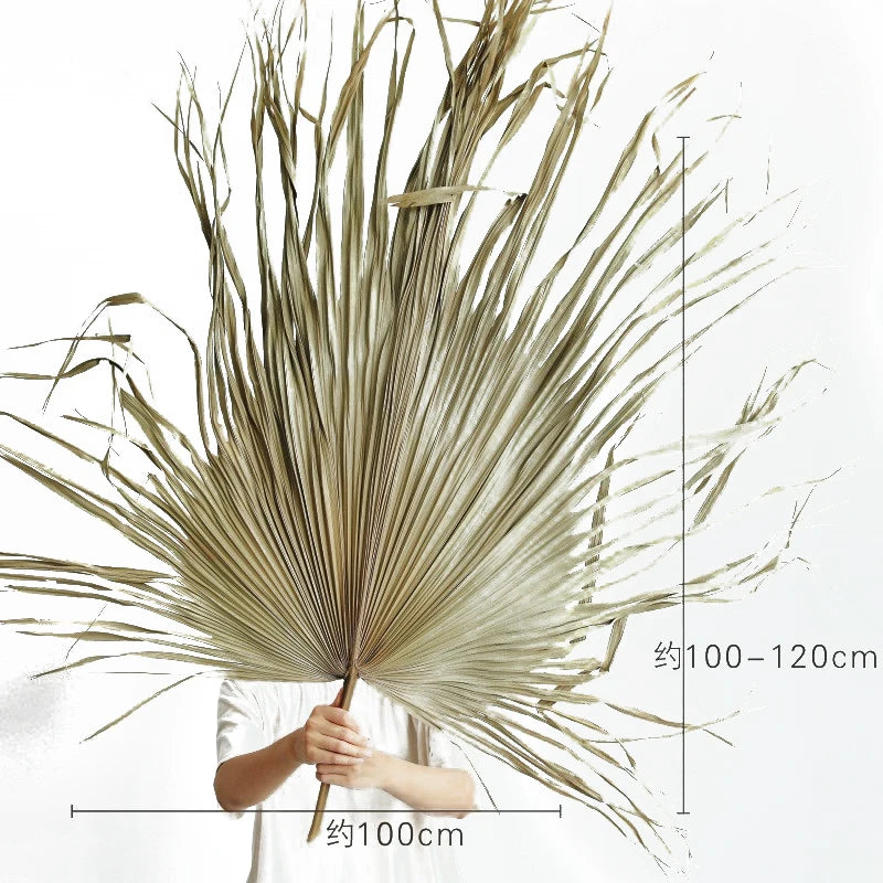 Wholesale Hot Sale Real Natural Vilot Purple Processed Dried Palm Leaves Fan For Wedding Flower Arranging