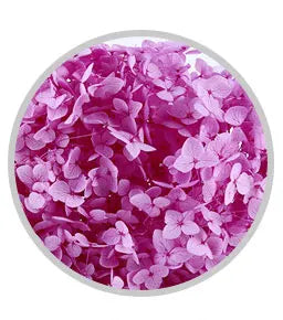 high quality new year christmas decoration preserved natural hydrangea flowers