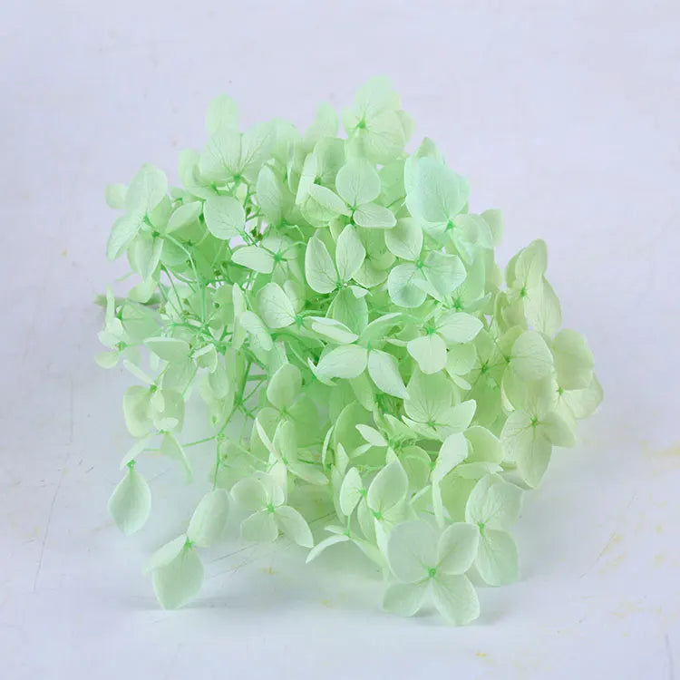 high quality new year christmas decoration preserved natural hydrangea flowers