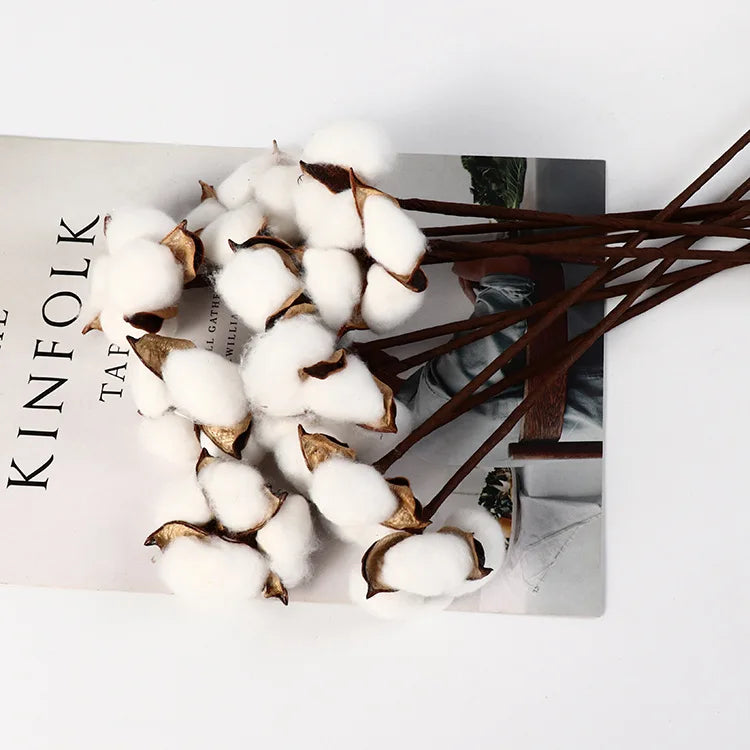 Natural One Cotton Branch Fall Decorative Dried Flowers White Cotton Stems For Floral Arrangements